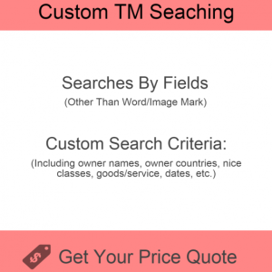 Custom TM Searching