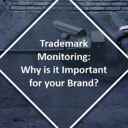 trademark monitoring