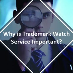 Why is Trademark Watch Service Important