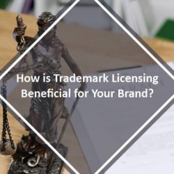 How is Trademark Licensing Beneficial for Your Brand