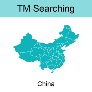 8A. China TM Searching